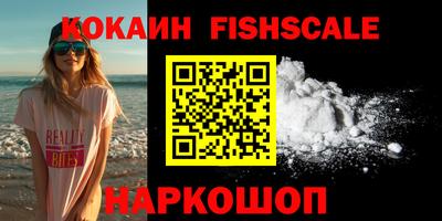 гидра Гатчина