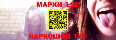 гидра Гатчина