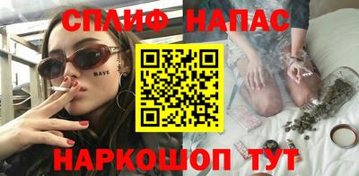 гидра Гатчина