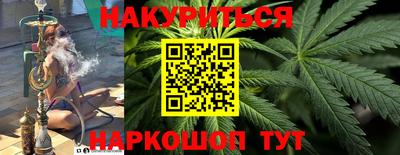 гидра Гатчина