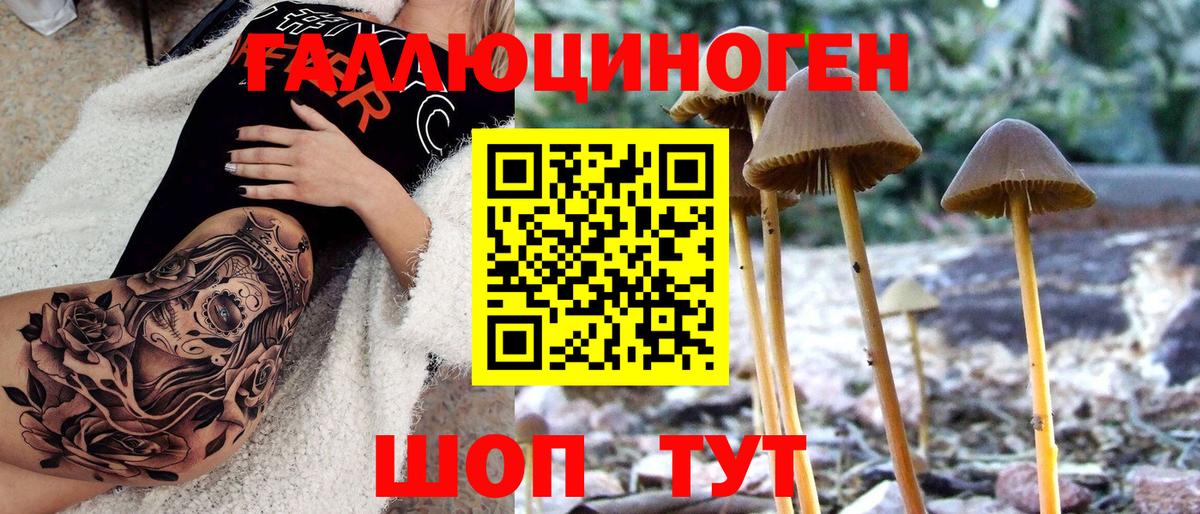 Галлюциногенные грибы GOLDEN TEACHER  Галлюциногенные грибы мицелий  где можно купить наркотик  Вход с VPN  Гудермес 